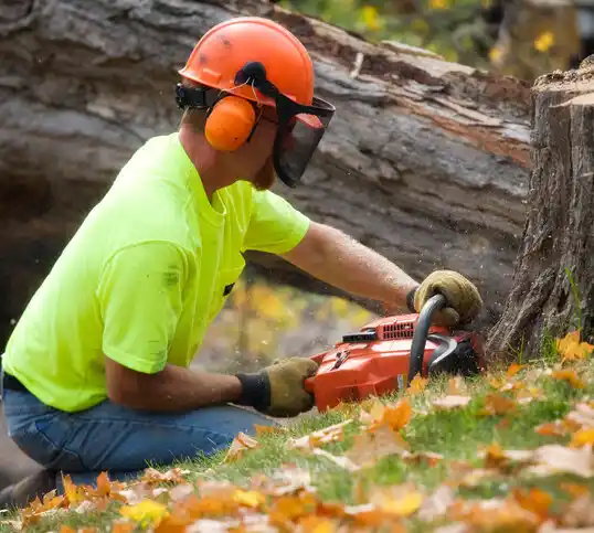 tree services New Llano